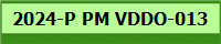 2024-P PM VDDO-013